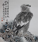 ���ƣ���ӥ